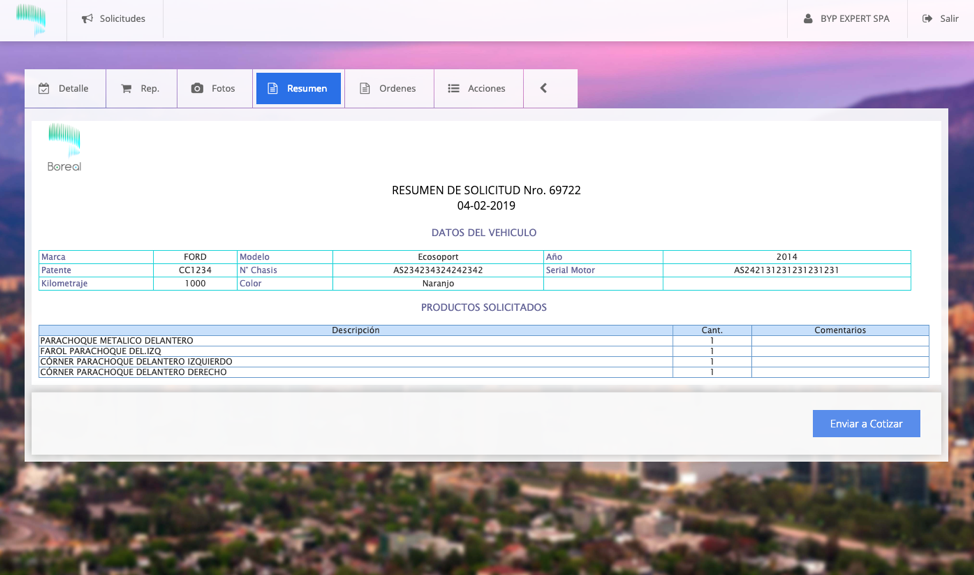 Boreal Market Mall de Repuestos - Resumen de Solicitud